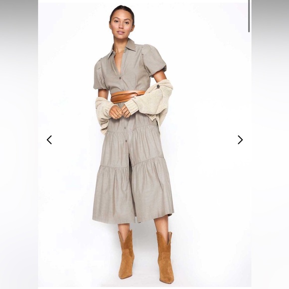 Brochu walker Havana Dress - Picture 15 of 16